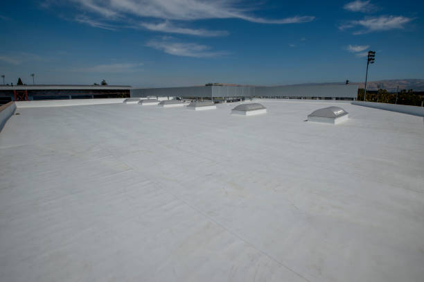 Best Rubber Roofing (EPDM, TPO)  in Lambertville, MI