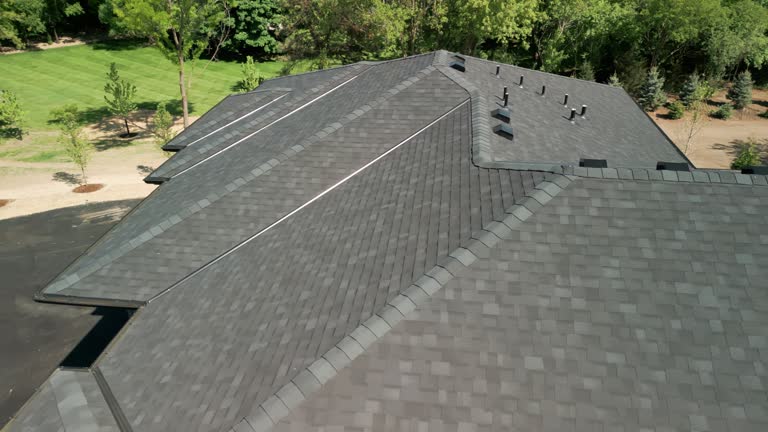 Best Roof Moss and Algae Removal  in Lambertville, MI