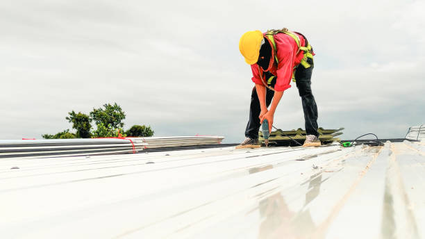Best Cold Roofs  in Lambertville, MI