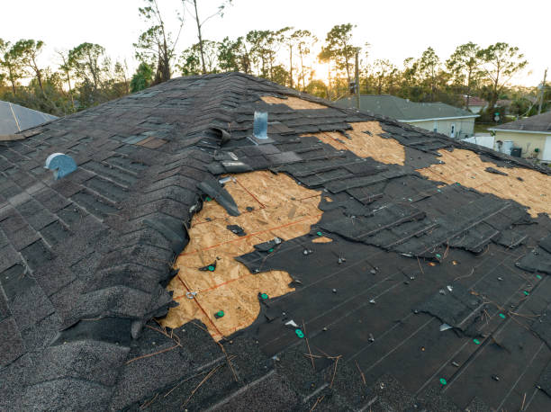 Best Sheet Metal Roofing  in Lambertville, MI