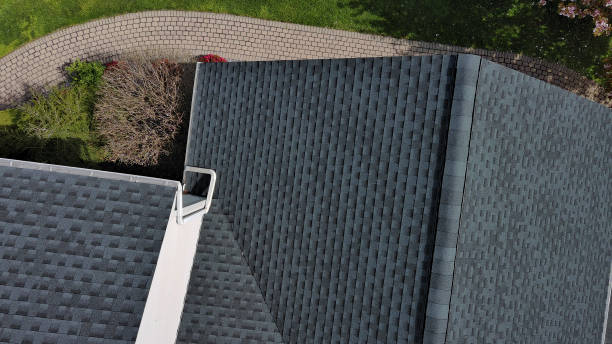 Best Roof Insulation Installation  in Lambertville, MI
