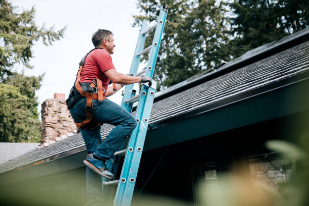 Best Solar Panel Roofing Installation  in Lambertville, MI