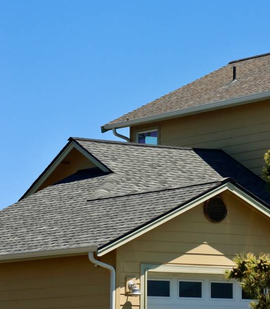Best Hot Roofs  in Lambertville, MI